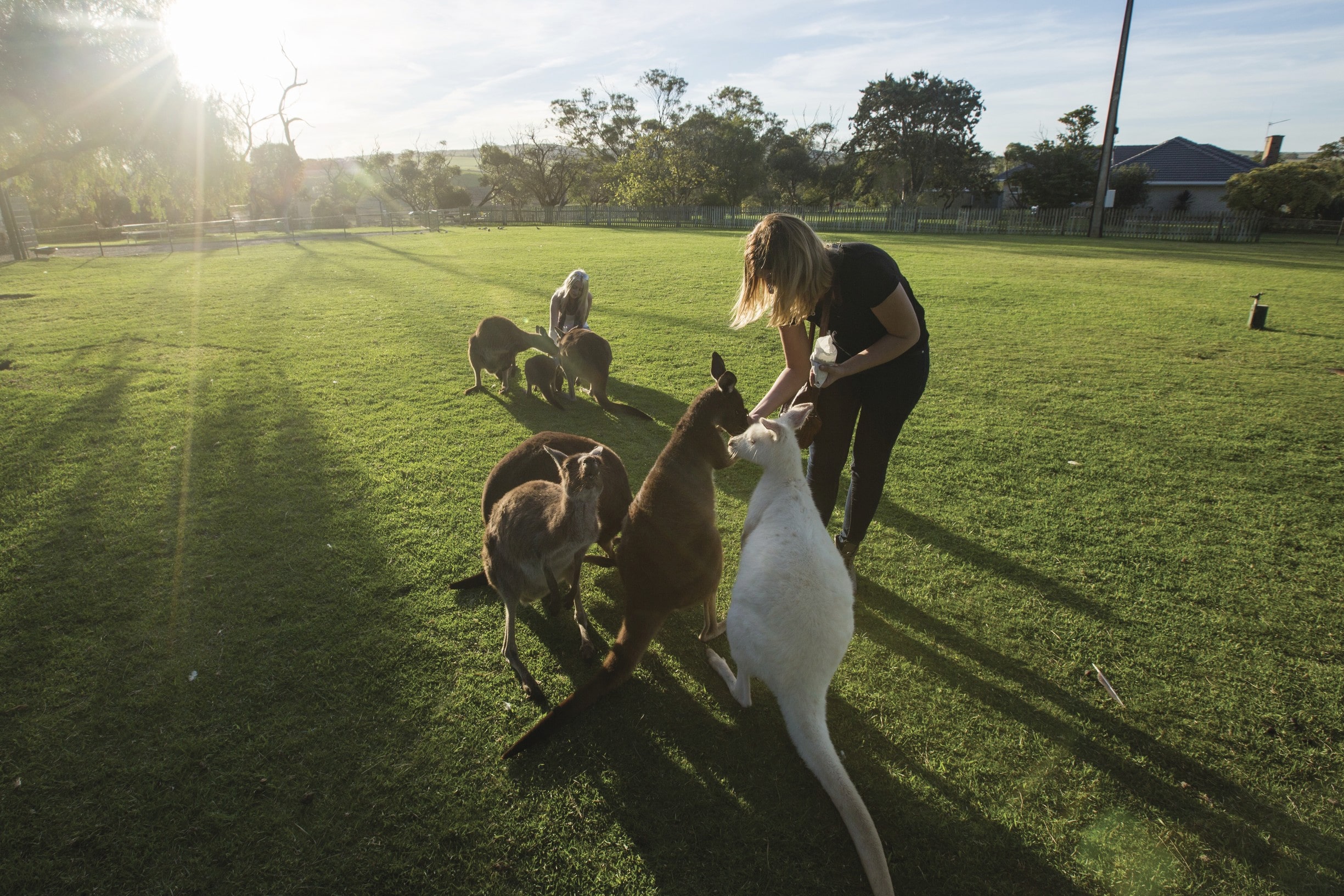 Tourism Australia