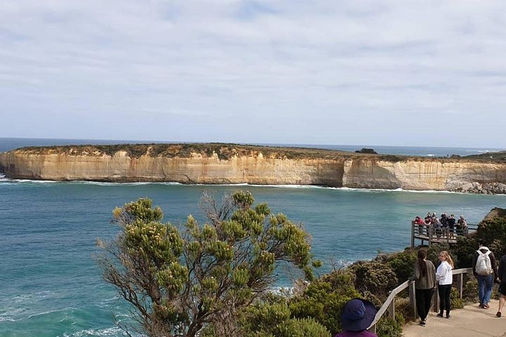 Great Ocean Road 12 Apostles and Australian native animal Tour