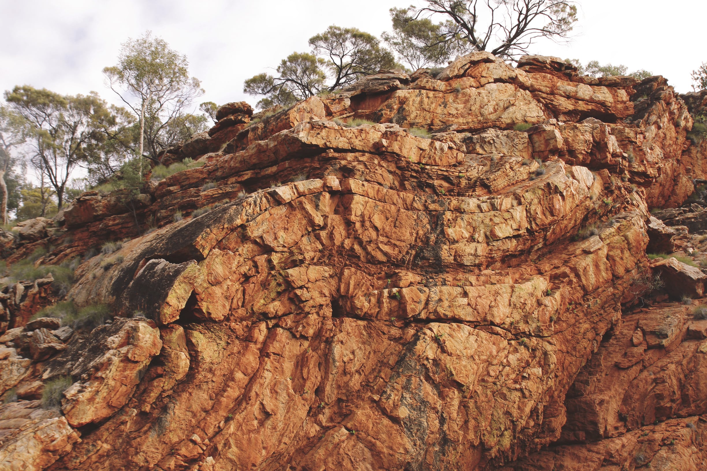 World Expeditions / Great Walks of Australia