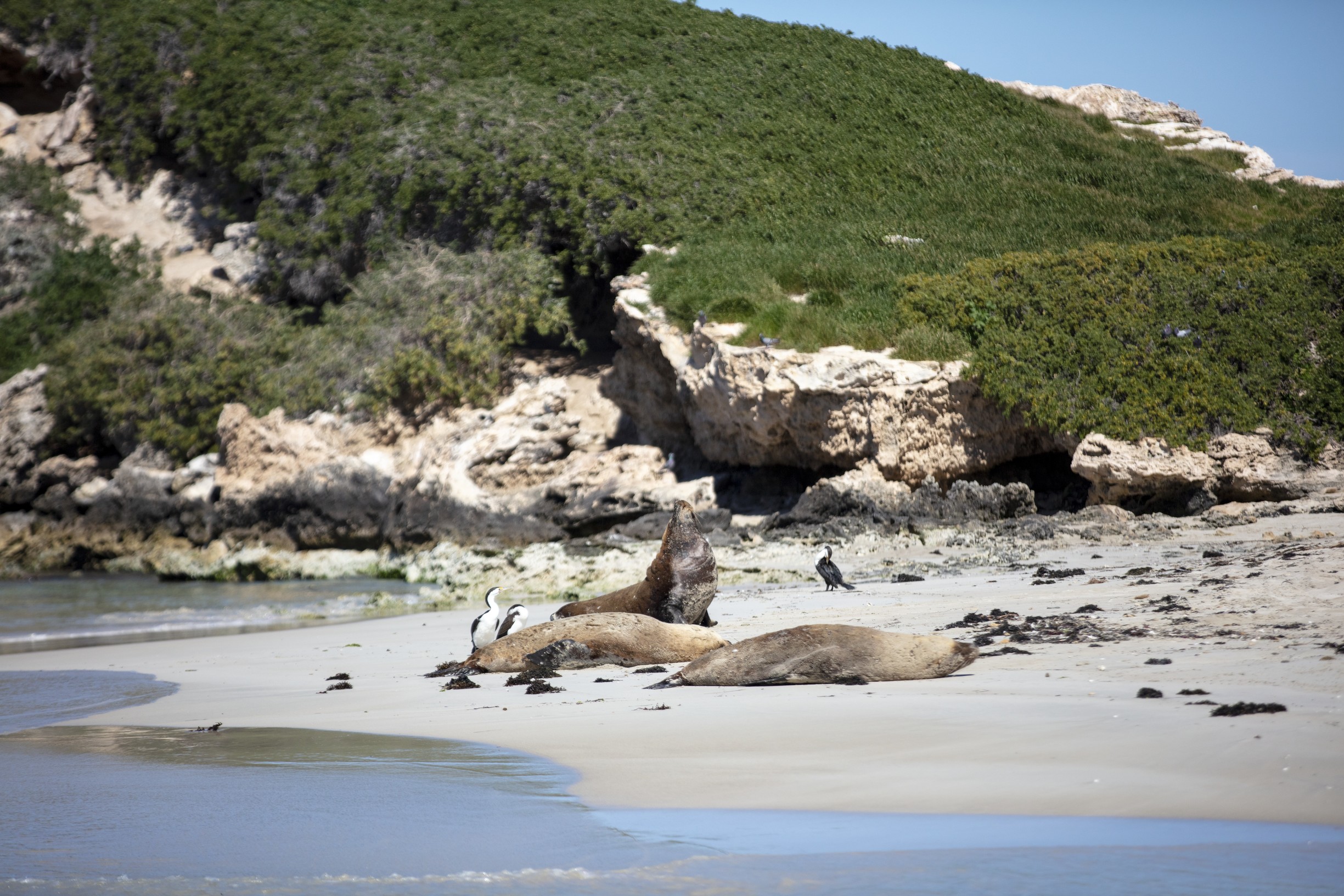 Tourism Australia