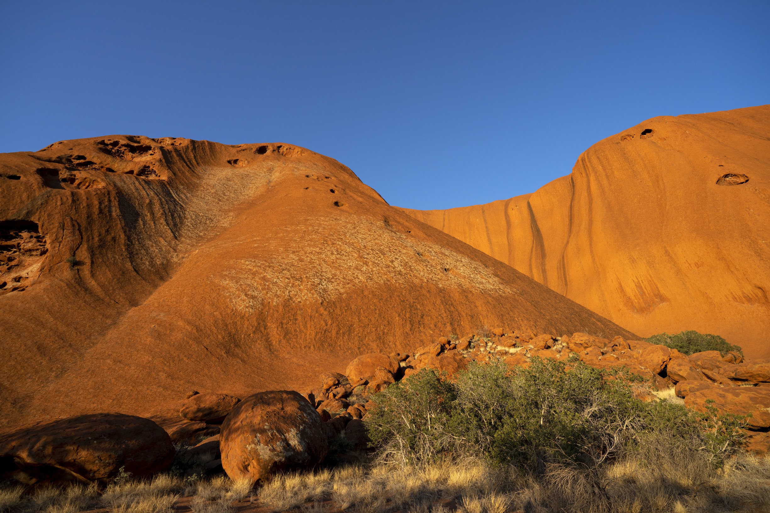 Tourism Australia