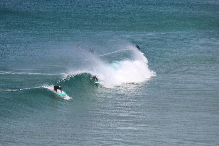 South Coast Day Tour, Blowholes, Lookouts, Bridge and Rainforest