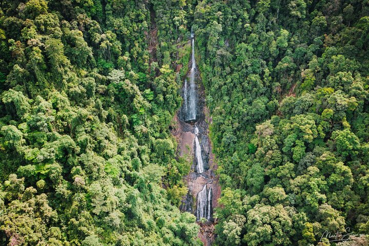 Beautiful Daintree Waterfall Half-Day Hike Swim Tour with Lunch