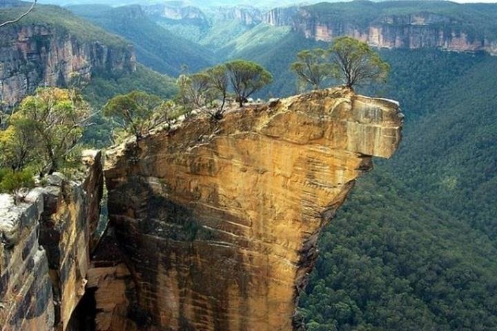 Full-Day Blue Mountains Small-Group Tour with River Cruise
