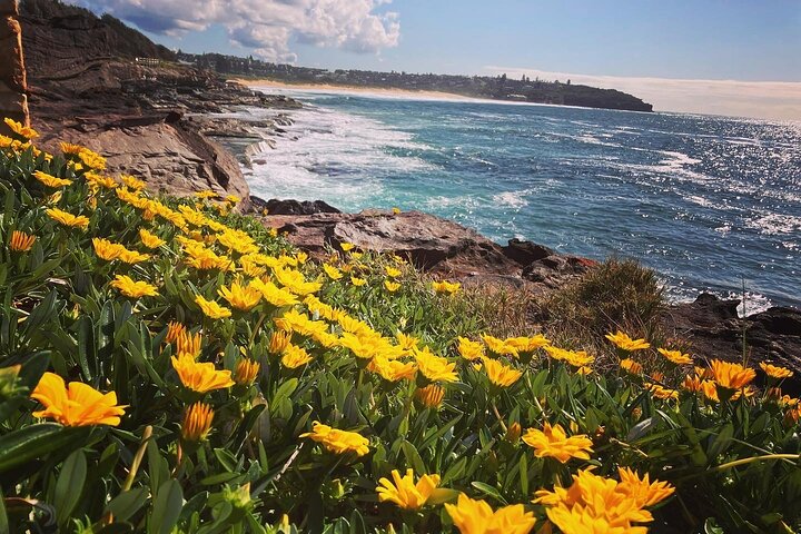 Guided Walk in North Head, Manly with Nature, History and Culture