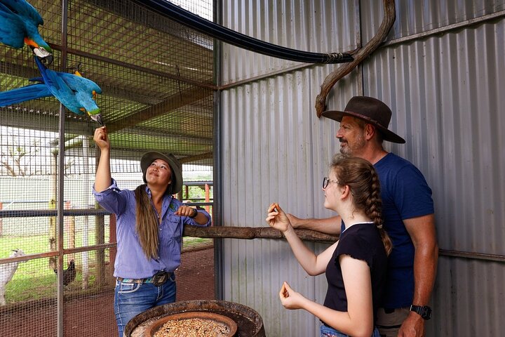 Rainforest ATV 60min Tour & Petting Zoo