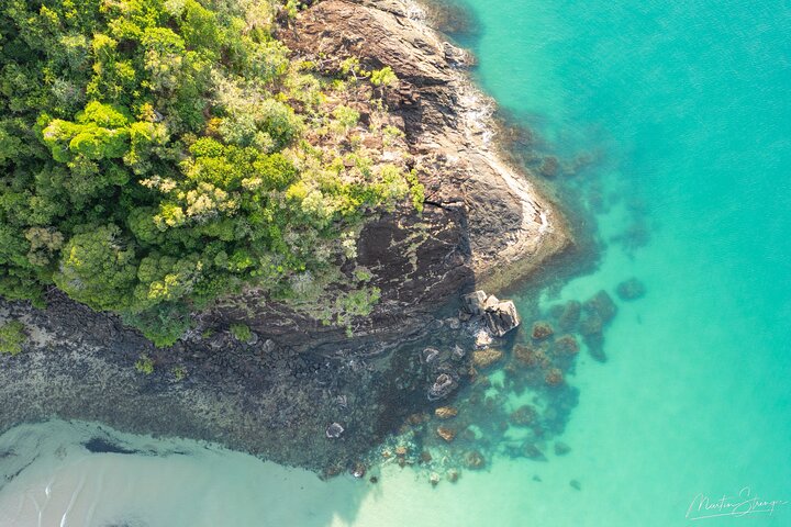 Spectacular Half-Day Daintree Tour Waterfall Hike, Swim Lunch ~ Path to Paradise