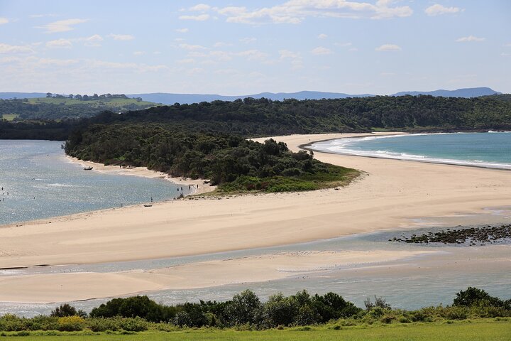 South Coast Day Tour, Blowholes, Lookouts, Bridge and Rainforest