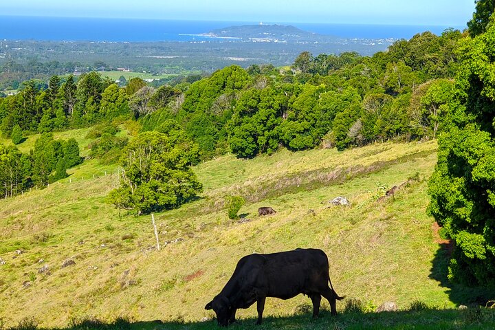 Byron Bay to Brisbane One Way Transfer