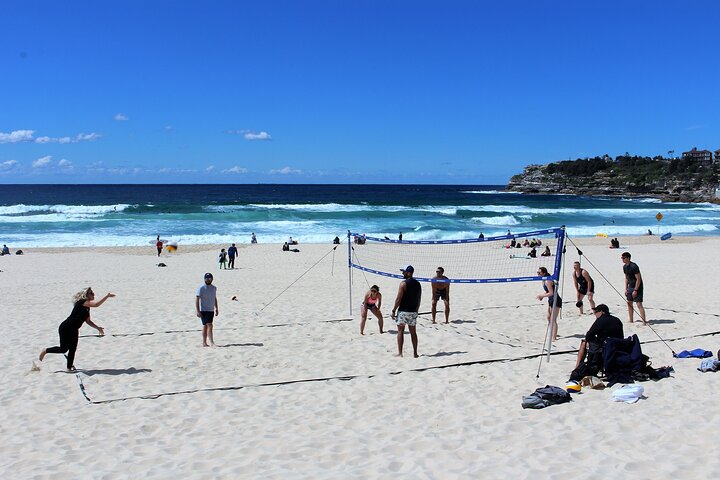 Guided Clearview Kayak Tour of Manly Cove Beaches