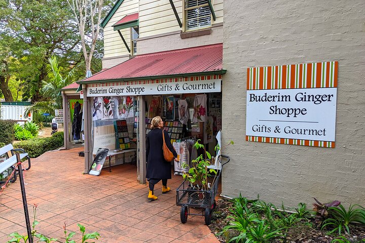 Glass House Mountains, Maleny and Montville Tour from Brisbane