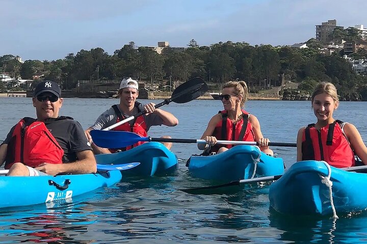 Guided Clearview Kayak Tour of Manly Cove Beaches