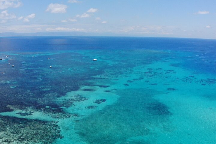 Cairns, Great Barrier Reef & Rainforest 7 day Tour.