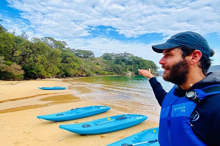 Guided Clearview Kayak Tour of Manly Cove Beaches