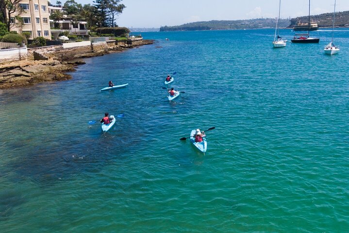 Guided Clearview Kayak Tour of Manly Cove Beaches