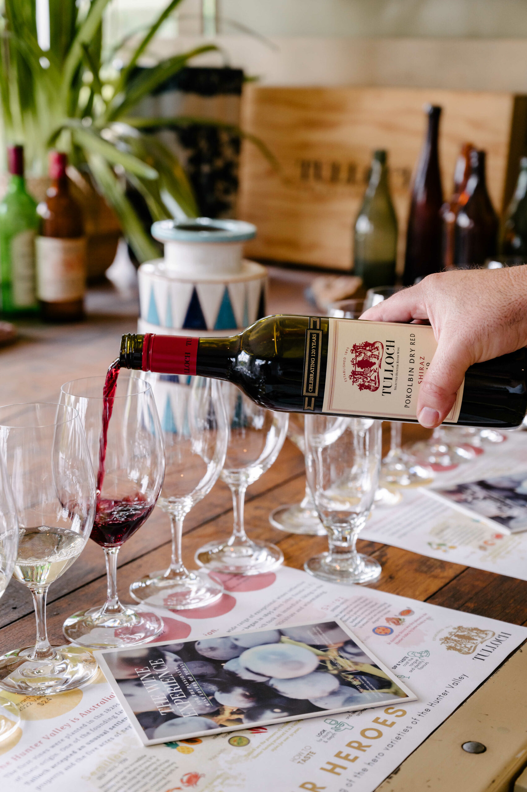 Tulloch Wines – Hunter Heroes Wine Tasting Experience with Local Cheese and Charcuterie