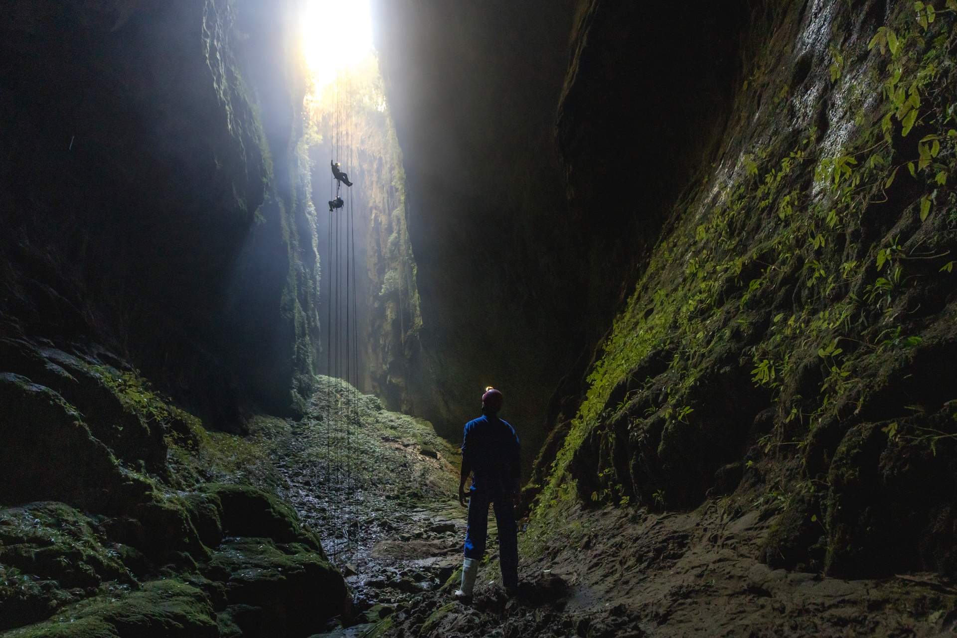 Waitomo MH