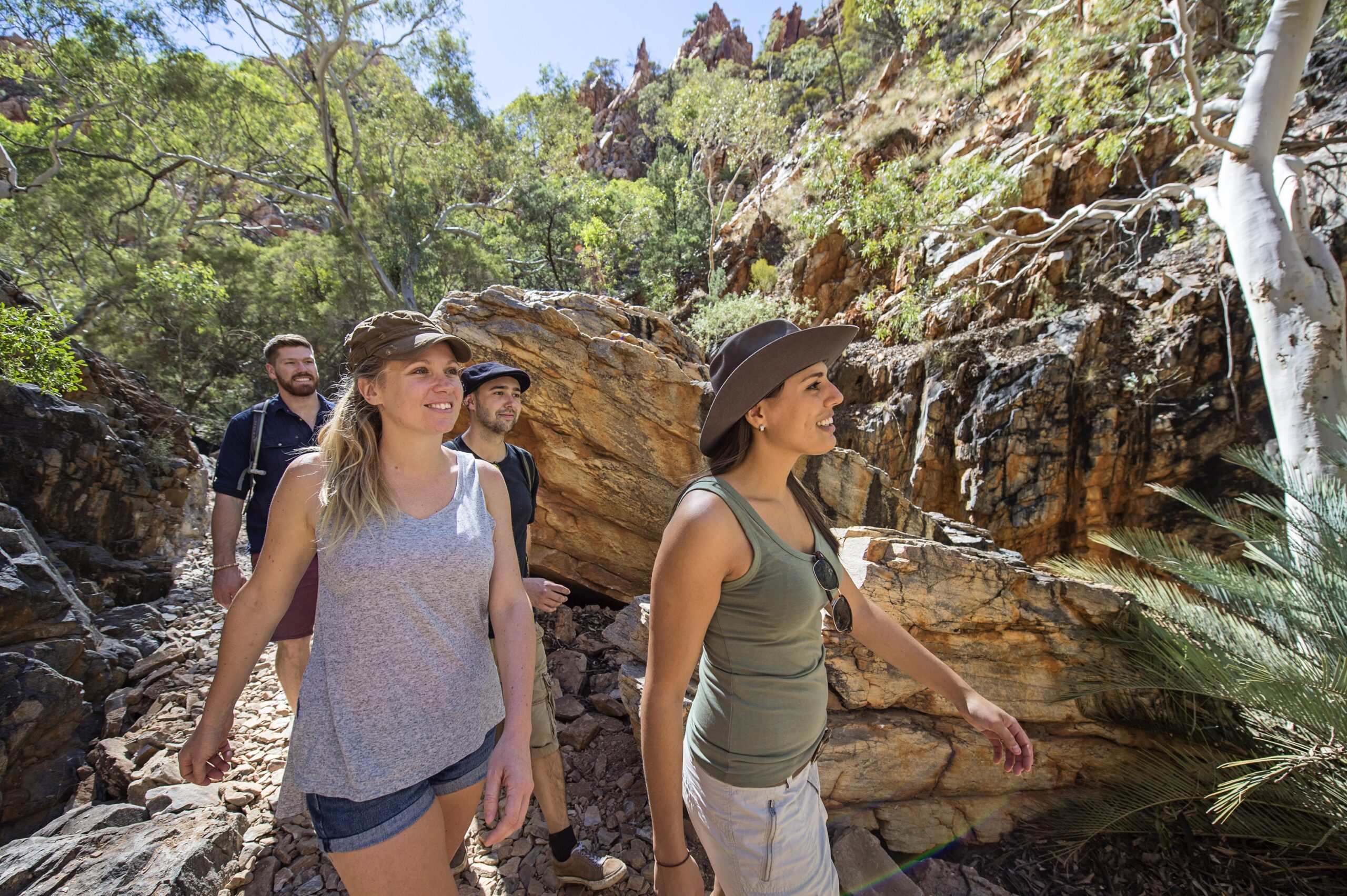 Autopia Tours: West MacDonnell Ranges Tjoritja from Alice Springs