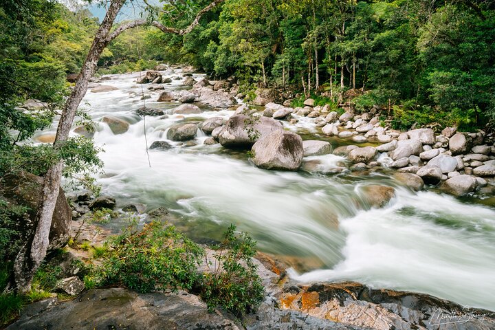 Spectacular Half-Day Daintree Tour Waterfall Hike, Swim Lunch ~ Path to Paradise