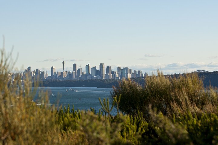 Guided Walk in North Head, Manly with Nature, History and Culture