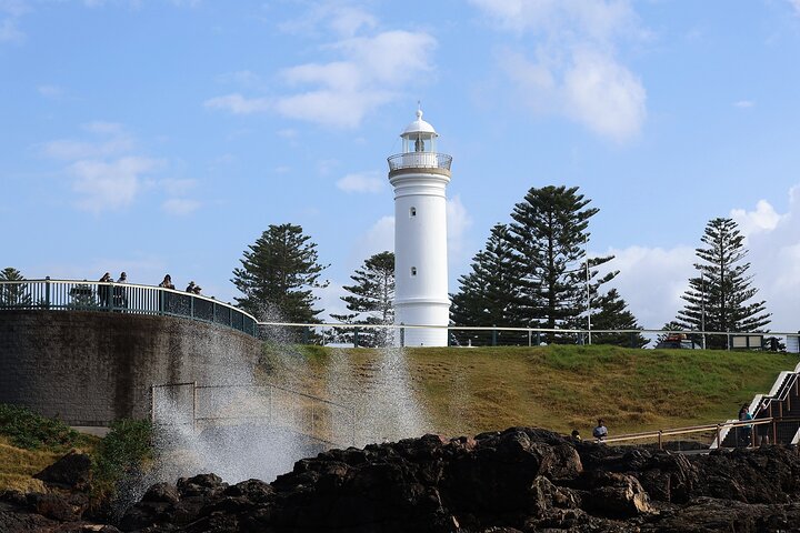 South Coast Day Tour, Blowholes, Lookouts, Bridge and Rainforest