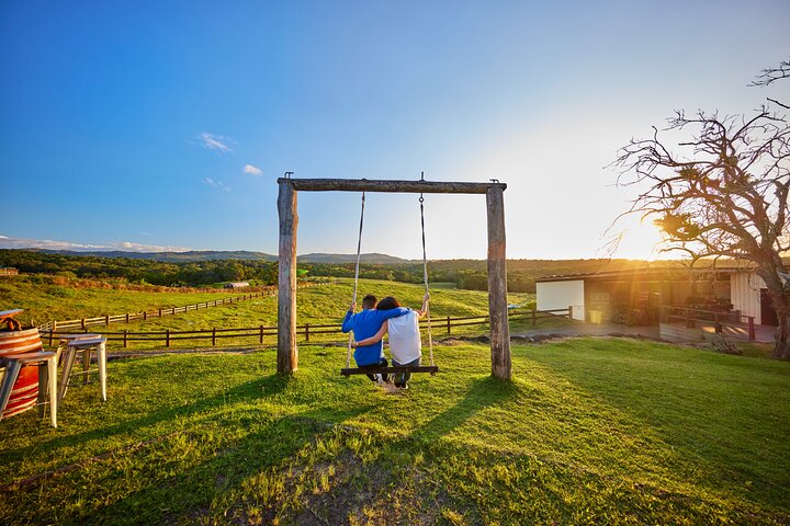 Glass House Mountains, Maleny and Montville Tour from Brisbane