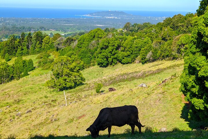 Byron Bay, Bangalow and Gold Coast from Brisbane – Private Tour