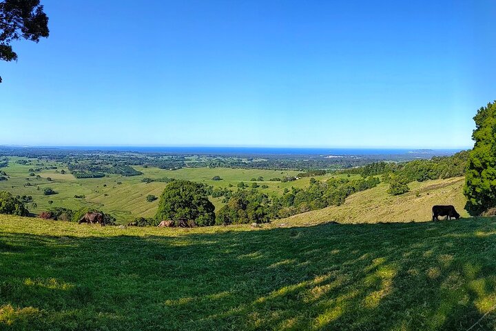 Byron Bay, Bangalow and Gold Coast from Brisbane – Private Tour