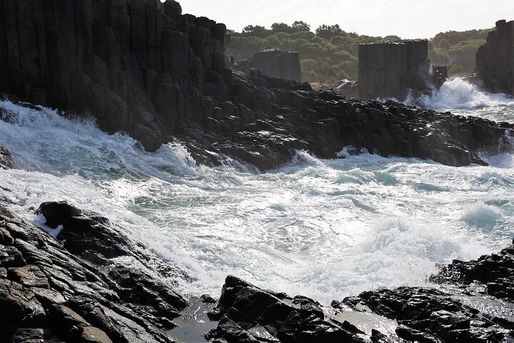 South Coast Day Tour, Blowholes, Lookouts, Bridge and Rainforest