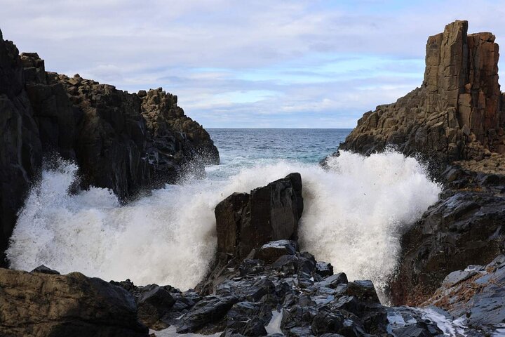 South Coast Day Tour, Blowholes, Lookouts, Bridge and Rainforest