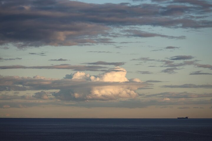 South Coast Day Tour, Blowholes, Lookouts, Bridge and Rainforest