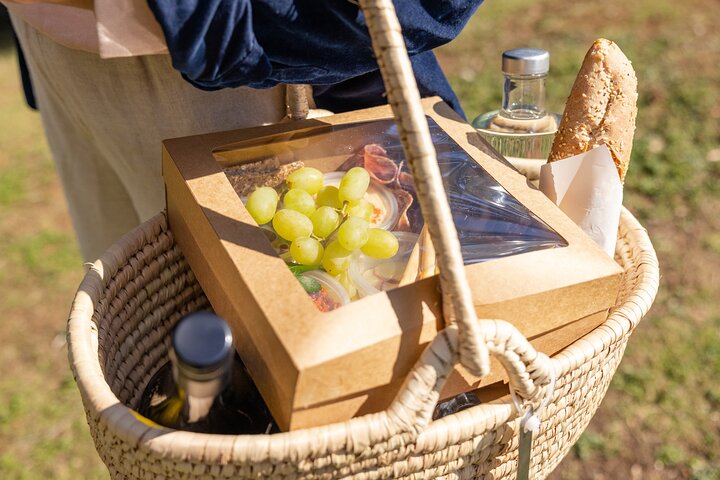 Picnic and Farm Experience at Red Hill