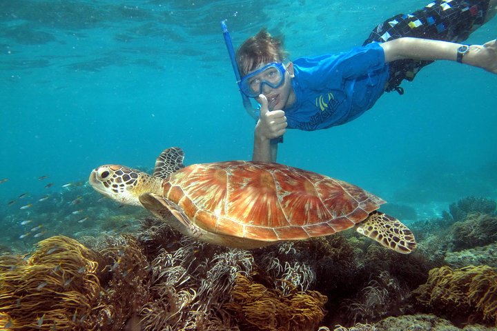 Ocean Spirit Sail to Michaelmas Cay Snorkel or Dive, from Cairns