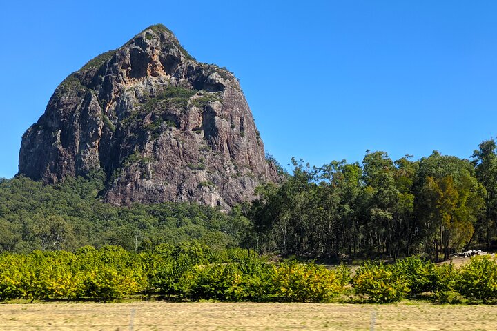 Glass House Mountains, Maleny and Montville Tour from Brisbane