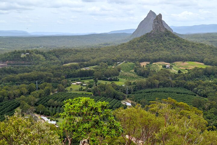 Glass House Mountains, Maleny and Montville Tour from Brisbane