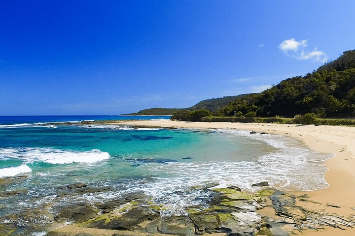 Stunning Great Ocean Road Day Tour | Pick Up From Melbourne