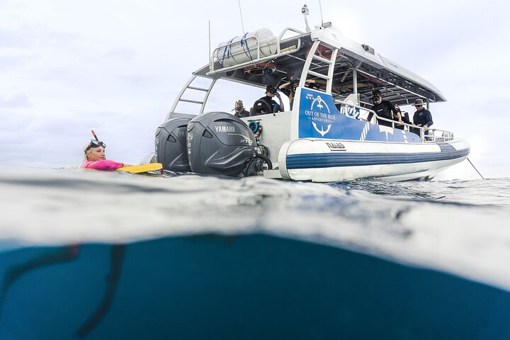 Julian Rocks: Premier Snorkeling Byron Bay