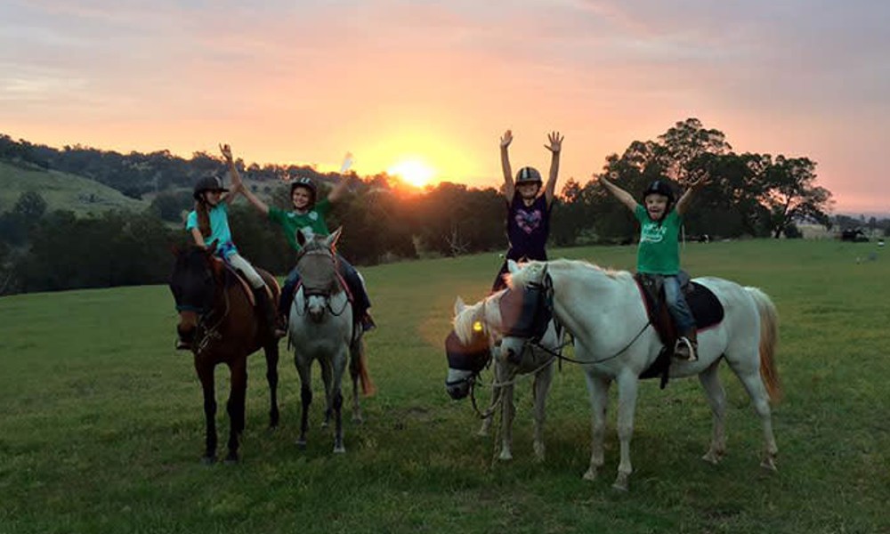 Jarrahdale Horse Trail Ride - 60 Minutes - Weekend