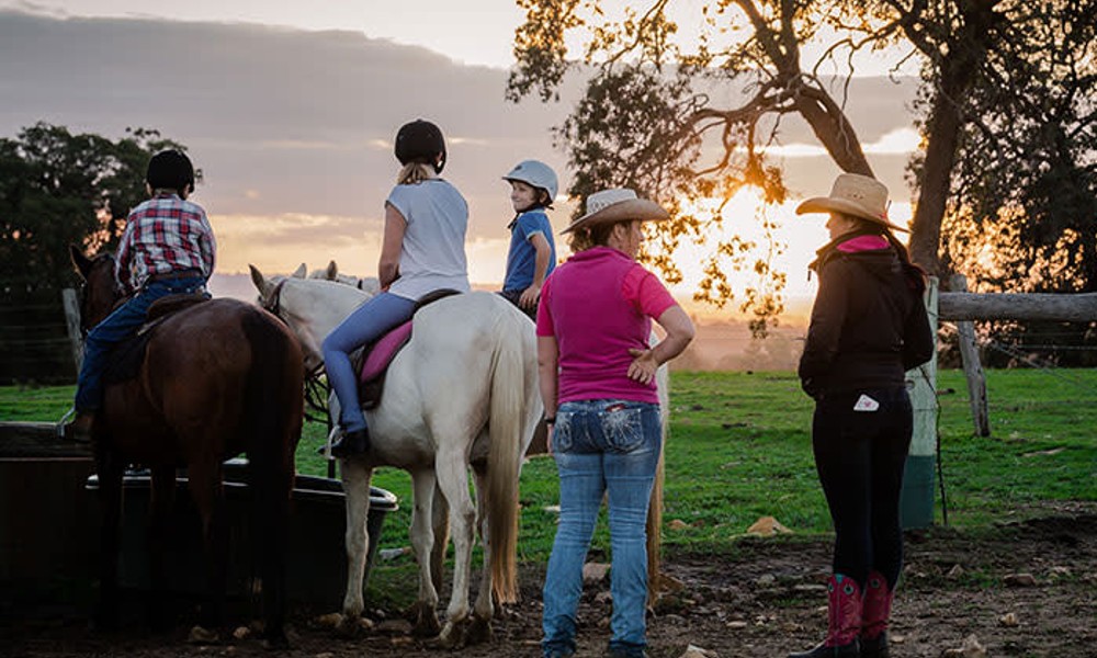 Jarrahdale Horse Trail Ride - 60 Minutes - Weekend