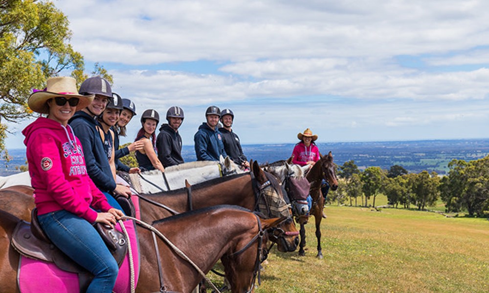 Jarrahdale Horse Trail Ride - 60 Minutes - Weekday