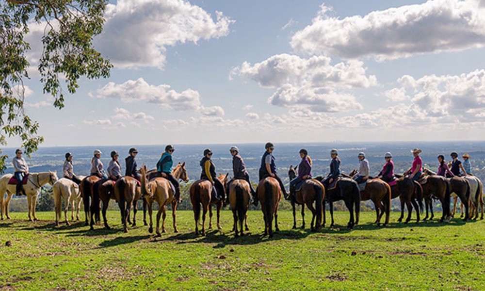 Jarrahdale Horse Trail Ride – 60 Minutes – Weekday