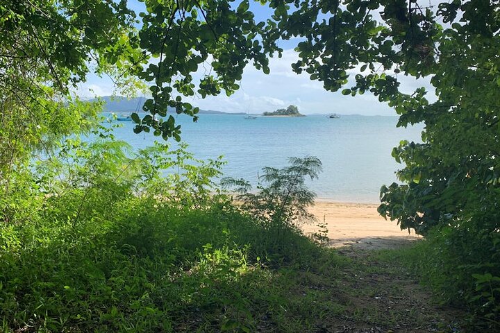 Dunk Island Adventures - Day Return