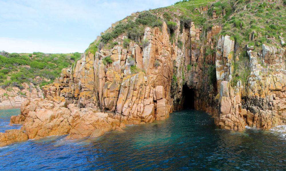 Cape Woolamai Scenic Cruise - 1 Hour