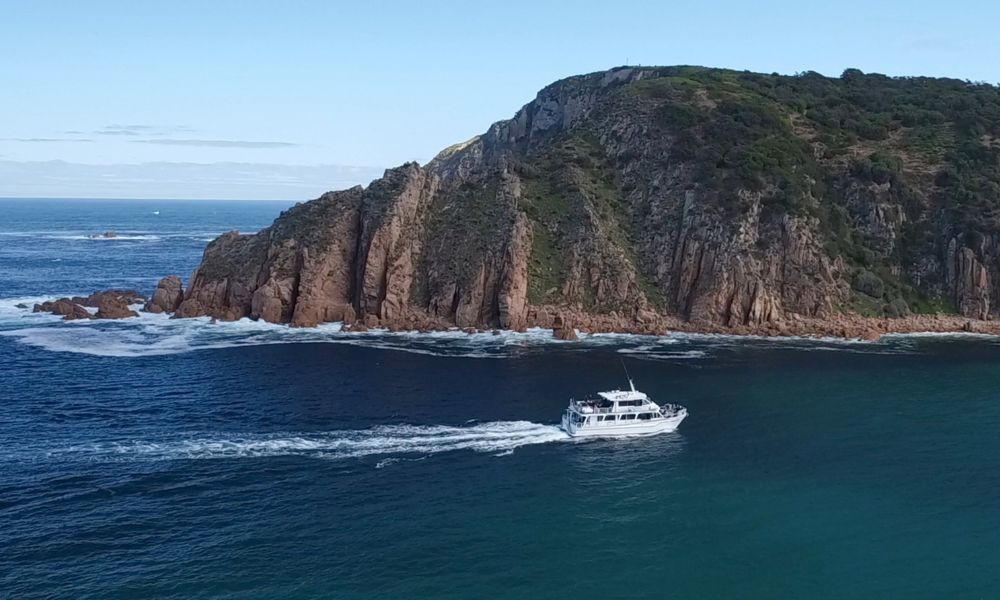 Cape Woolamai Scenic Cruise – 1 Hour