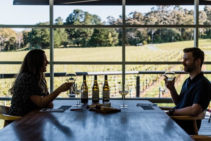 Adelaide Hills Luxury Wine Tour - Private Day Tour