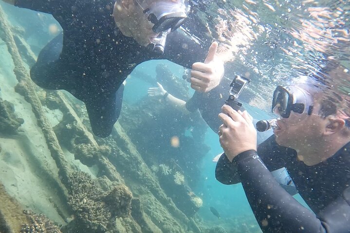 Full-Day Moreton Island Multi Guided Activity with Picnic Lunch