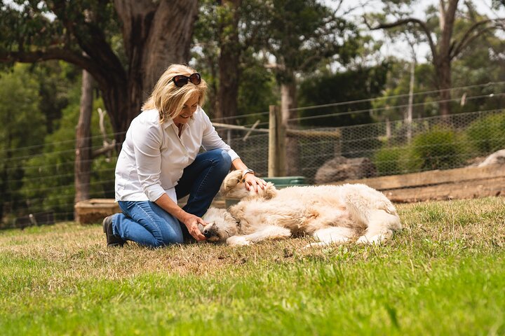 Sustainable Farm Tour and Lunch on the Mornington Peninsula