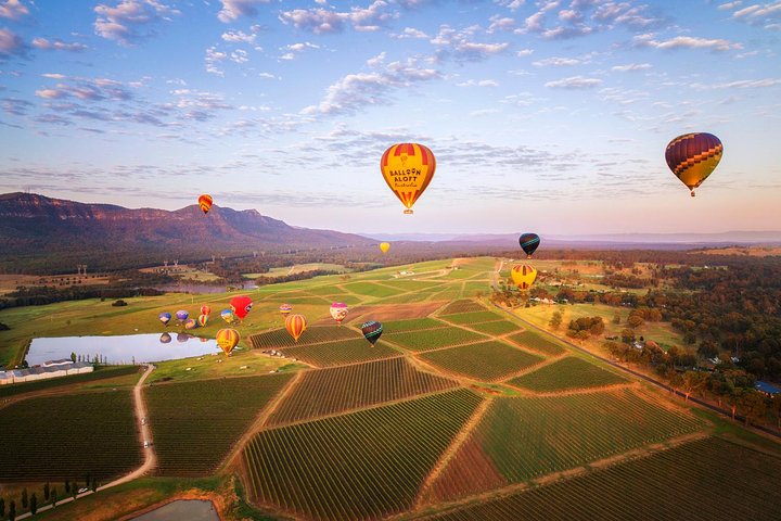 Hot Air Ballooning Over The Hunter Valley Including Breakfast