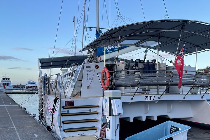 Port Stephens 3 Hour Whale and Dolphin Watch Cruise