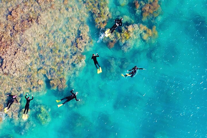 Panorama: the Ultimate seaplane tour - Great Barrier Reef & Whitehaven Beach